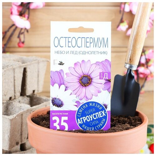 ������ ������ ������ ������ ������������� 