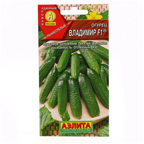 ������ ������ ������ ��������� ������ ������ �������� F1, 10 �� ����