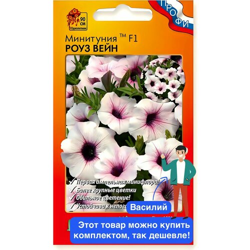 ������ ������ ����� ��������� ���� ���� F1 ����