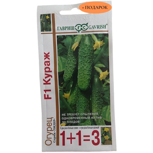 ������ ������ ������ ����� 1+1 20�� ����