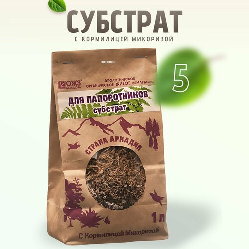 ������ ������ �������� � ���������� ��� ����������� ������������ 5 �� ����