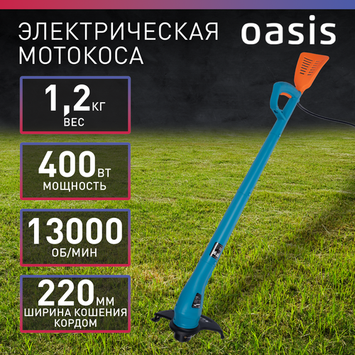 ������ ������ ������� ������������� Oasis TE-40, 400 ��, 22 �� ����