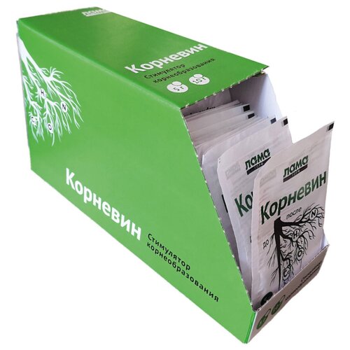 ������ ������ �������� ���� ���, �� 10�� ����