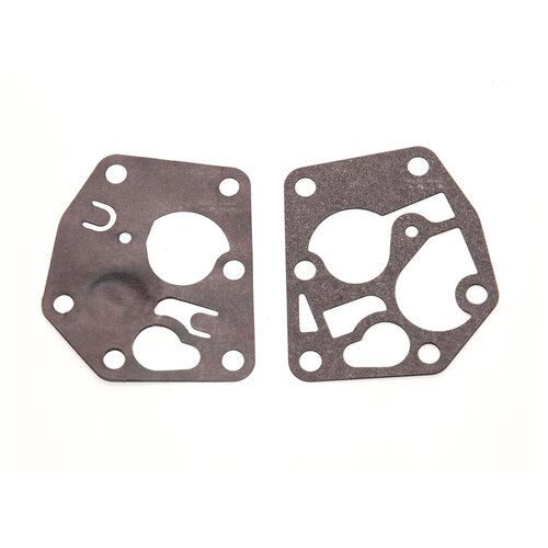 ������ ������ ��������� Briggs&Stratton ����