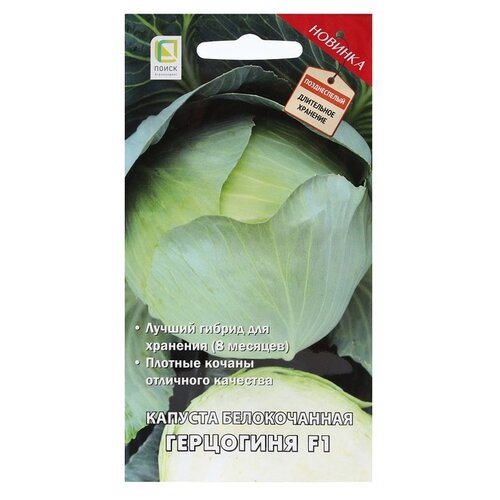 ������ ������ ������ ����� ������� ��������� F1 ����