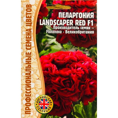 ������ ������ ������ ���������� 