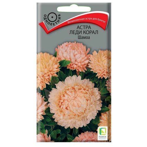 ������ ������ ������ ����� ����� ���� ����� �����, 1 � ����