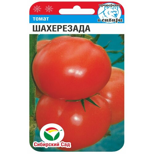 ������ ������ ������ ������� ����������(1 ��������-20 �� �����) ����