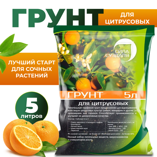 ������ ������ ����� ���� ������� ��� ����������, 5 �, 3 �� ����