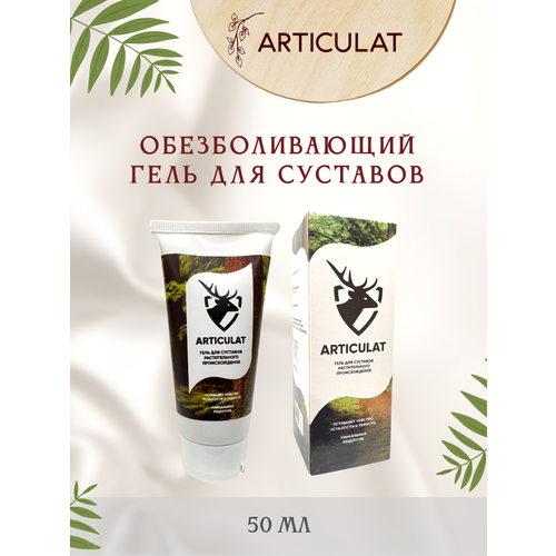 ������ ������ ���� ���� �� ���� �������� � ������ ��������� 50 �� ����