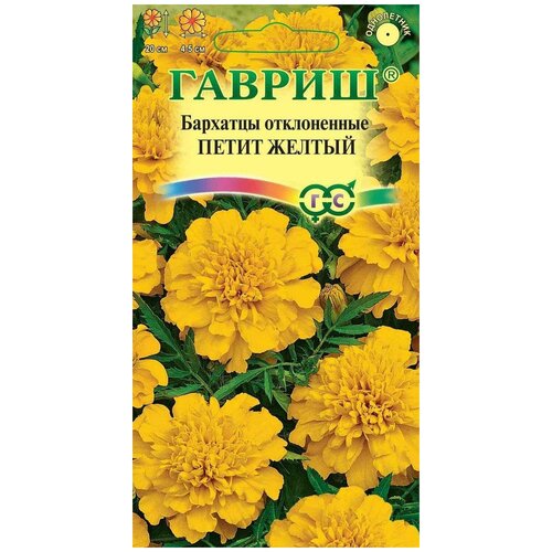 ������ ������ ������. �������� ����������� 