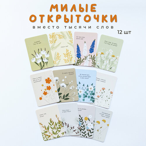 ������ ������ ����� ���� �������� � ������� � ������� 12 �� ����