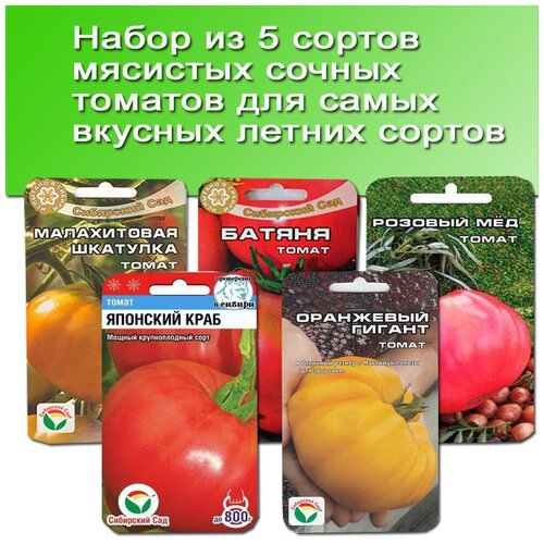 ������ ������ ����� ����� �� 5 ������ �������� ������ ������� ����