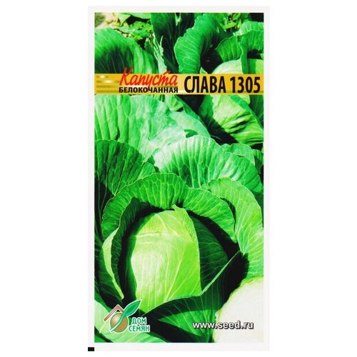 ������ ������ ������� ������������ ����� 1305, 160 ����� ����