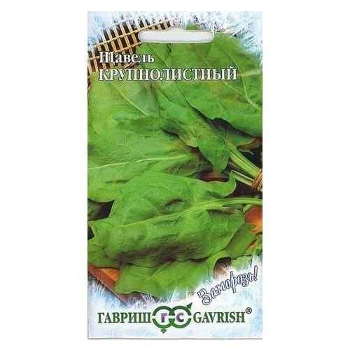 ������ ������ ������ ������������� (�/� �����) ����