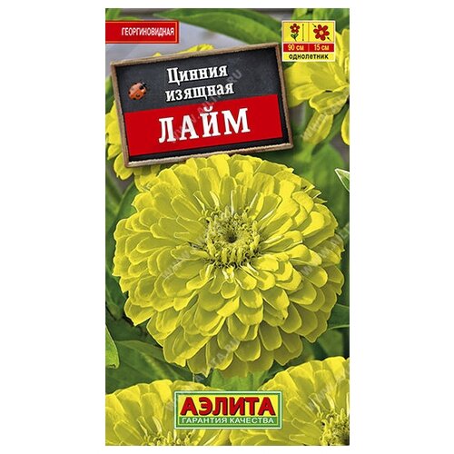 ������ ������ ������ 