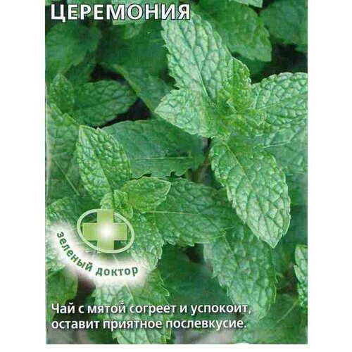 ������ ������ ������ �������� ���� ��������� ���������� ����