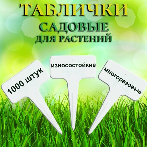 ������ ������ �������� ������� ��� ���������� ��������, 1000 ���� ����