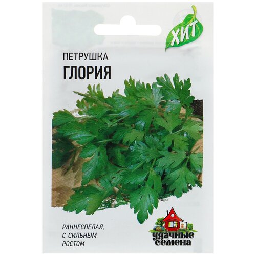 ������ ������ ������ �������� �������� 