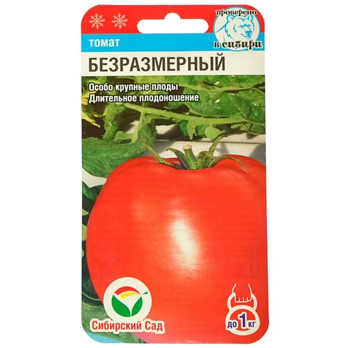 ������ ������ ������������ 20�� ����� (��� ���) ����