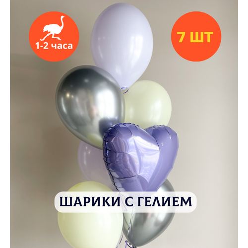 ������ ������ ������ ��������� �� ���� ��������, ��������� ���� � ������, ���� � ���� ��������, ����� ����� ��� ������� 
