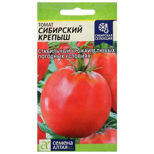 ������ ������ ������ ����� 