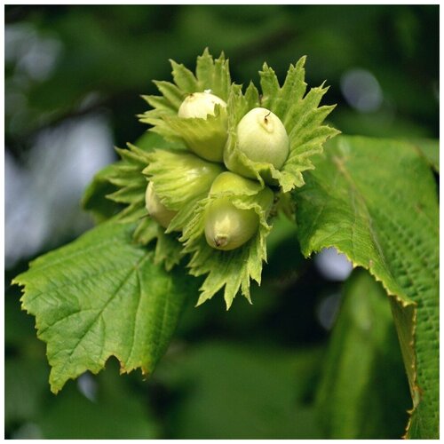 ������ ������ ������ ������ ������ ������� ���������� 10 ��. ����