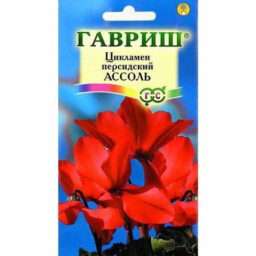 ������ ������ ������ �������� 