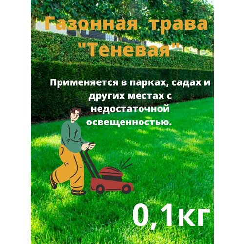 ������ ������ �������� ����� 