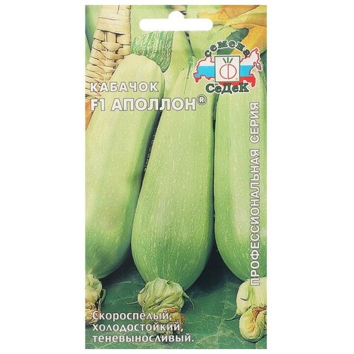 ������ ������ ����� ������ ������� 