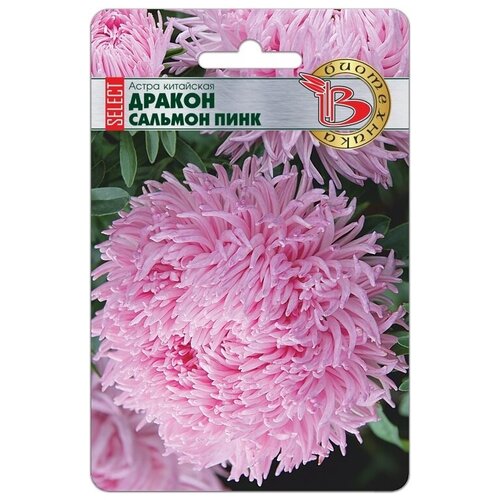 ������ ������ ����� ������ ������� ���� ����