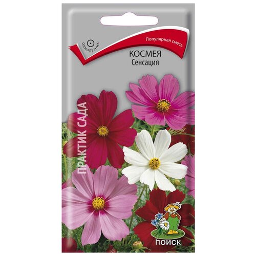 ������ ������ ������ �������� ����