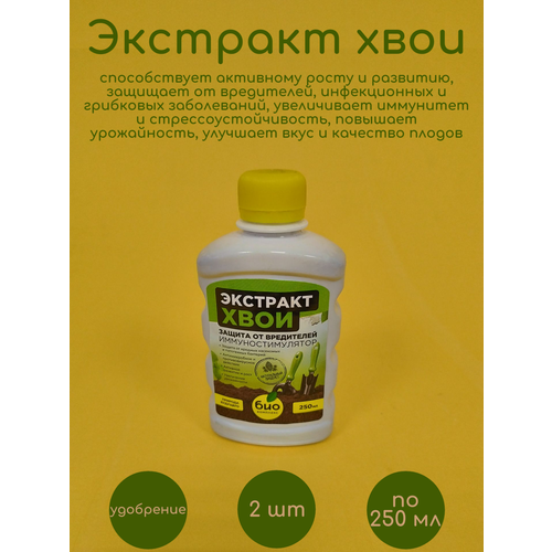 ������ ������ �������� ���� 2 �� �� 250 �� ����