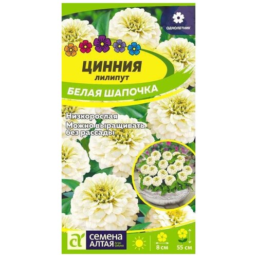 ������ ������ ������ 