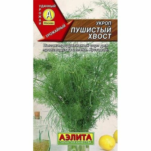 ������ ������ ������ ����� �������� ����� (������) 3� ����