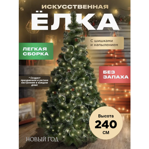 ������ ������ ���� ������������� 240 �� ����������� ����