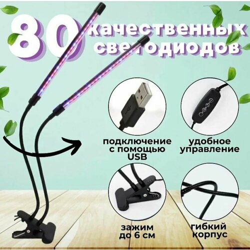 ������ ������ ��������� ������� HOUSE_MALL, ��� �������, ������ ������, 50 x 50 �� ����