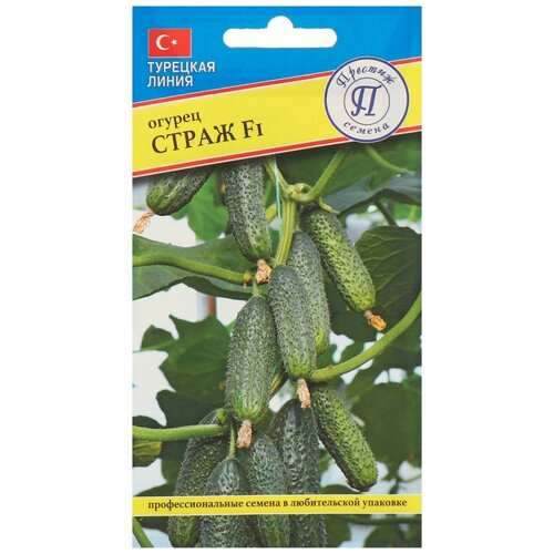 ������ ������ ������ ������ 