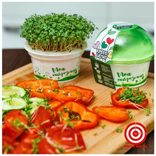 ������ ������ ����� ��� ����������� ����������� ����