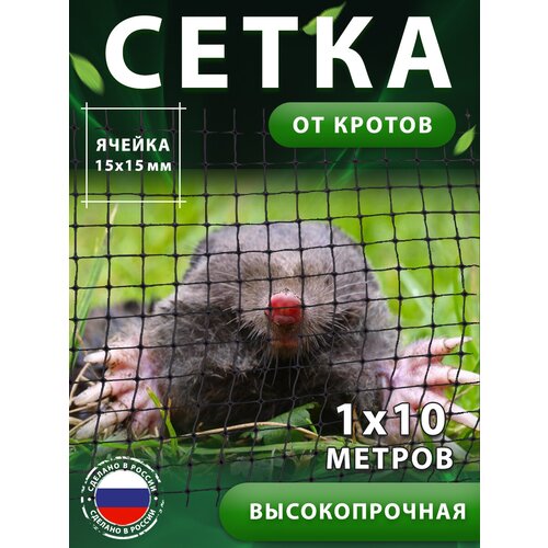 ������ ������ ����� �� ������ ����������� ��� ����� 1*10�, 15*15�� ����