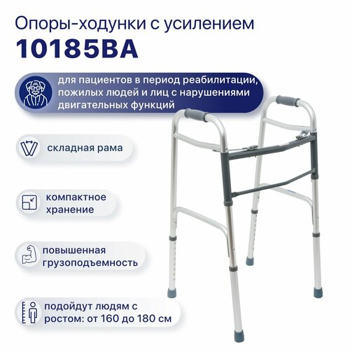 ������ ������ �������� �����-������� 10185-BA, ��� ����, �����������, ��� ��������, ������� ����� � ��������� ����