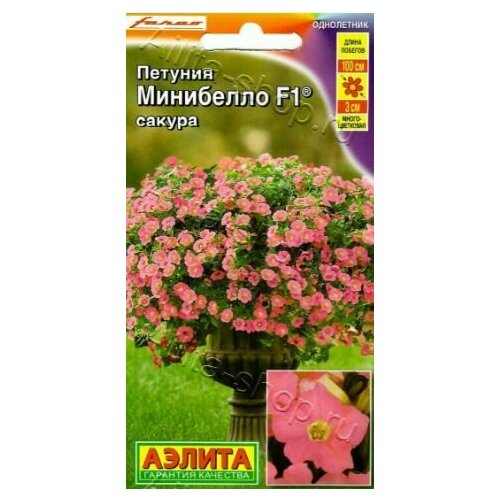 ������ ������ ������� �������������� ���� ��������� ������ F1 ( 1 �������� ) , ������ ����