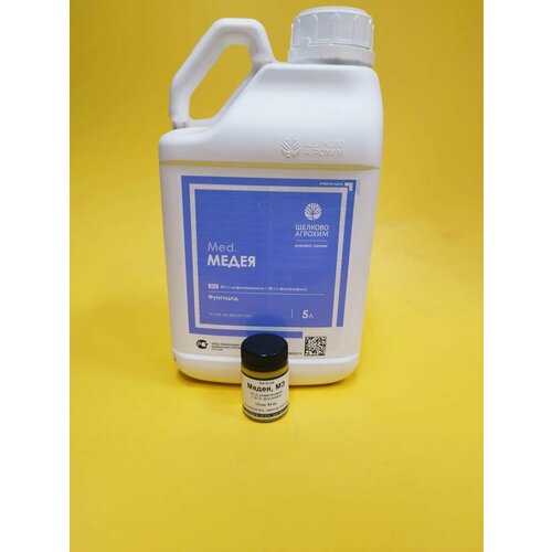 ������ ������ �������� ����� �� ����� �� ������ � ��������� 50 �� ����