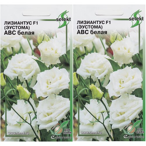 ������ ������ ��������� F1 (�������) ��� �����, 2 �������� �� 5 ����� ����