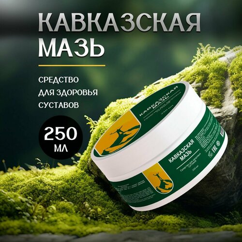 ������ ������ ���������� ���� - ����������� �������� ��� �������� � ������ ����