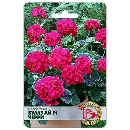 ������ ������ ���������� ����� �� F1 ����� ����