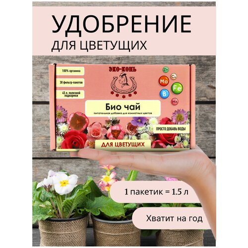 ������ ������ ��� ���� ��������� ��� ��������� ������ ���-��� ����