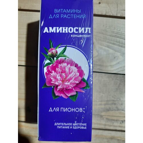 ������ ������ ��������� 