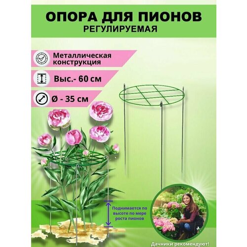 ������ ������ ����� ��� ������ ������������ ����� ������� 35��, ������ 60�� ����