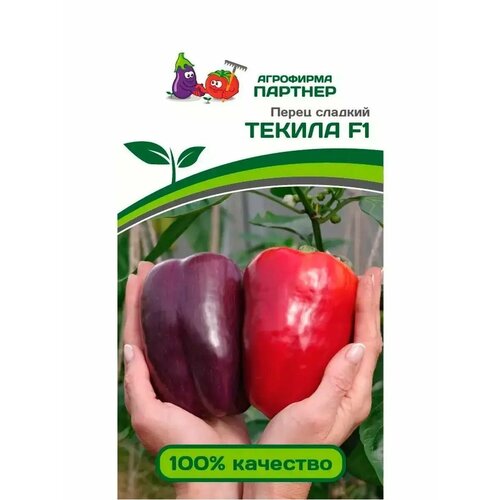 ������ ������ ������ ����� �������� 